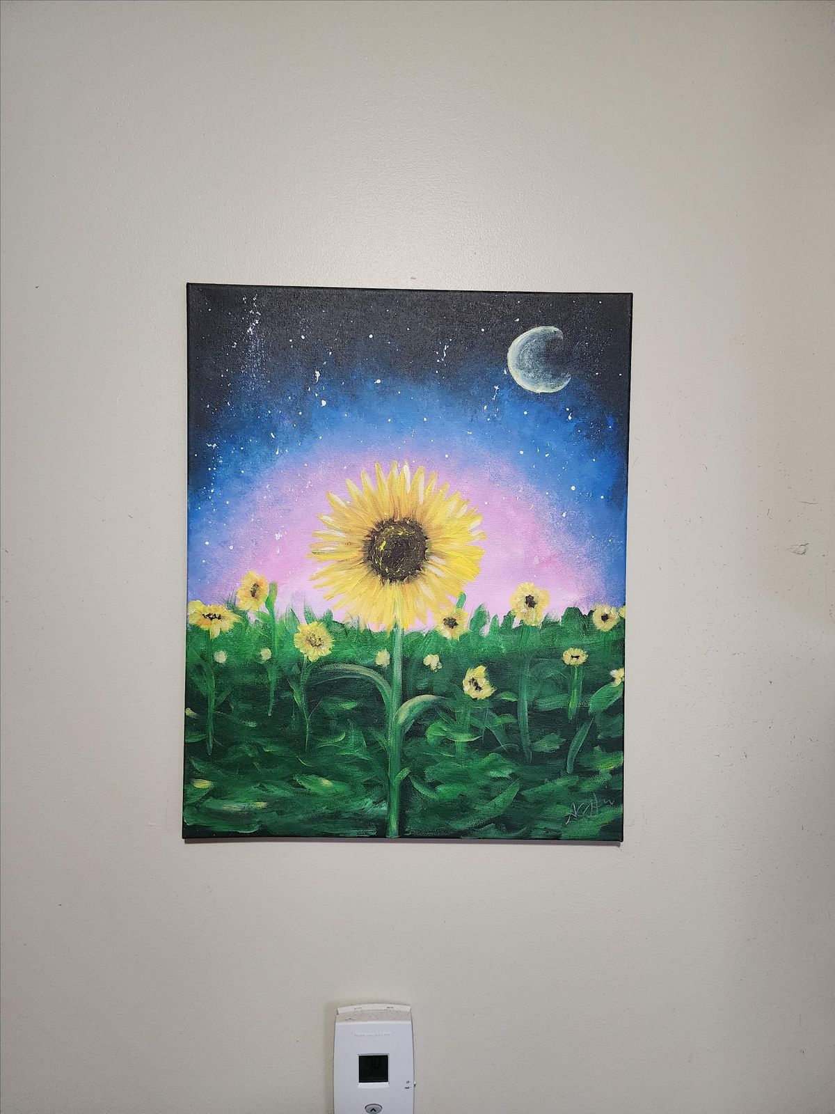 Sunflower Field, Cowbell Rock Row, Westbrook, February 1 2024