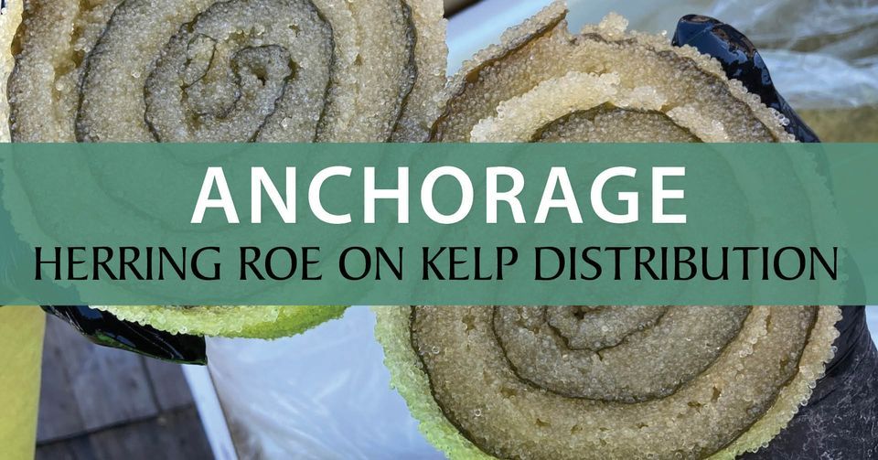 Anchorage Herring Roe Distribution, Alaska Native Heritage Center