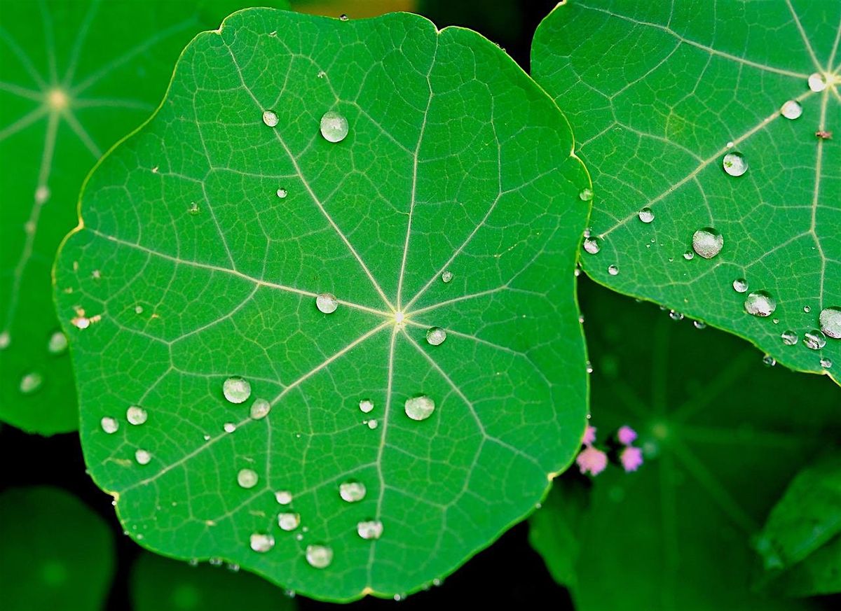 Holding Without Carrying - A Women's Workshop, 22 November | Event in Portland | AllEvents