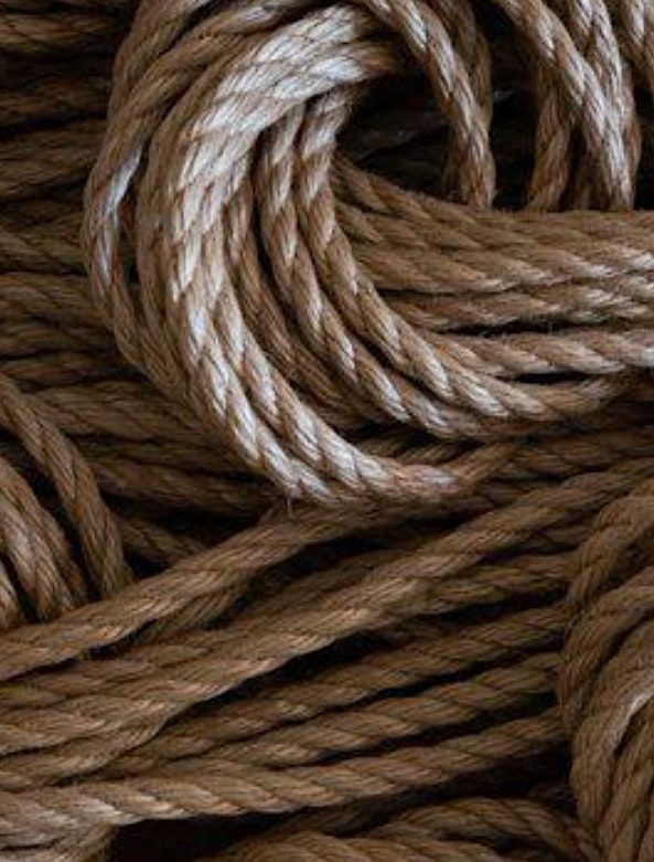 Charlotte Rope Hip Harnesses, April 10 2023 AllEvents.in