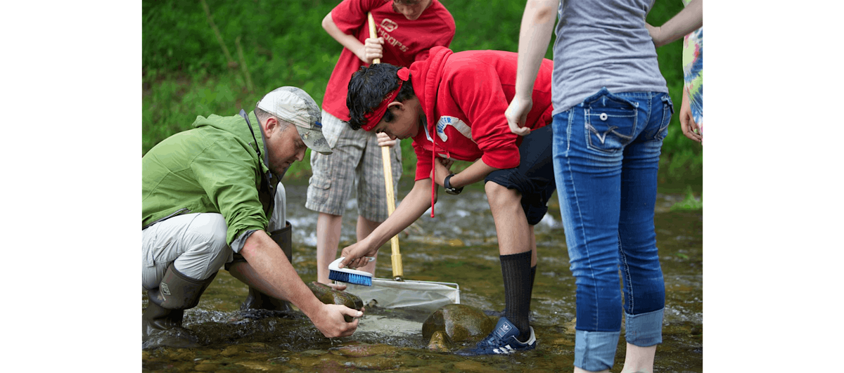 Tiny Wildlife Macroinvertebrate Survey (Circuit 2), Crescent Moon Day Use Site, Munds Park, 22