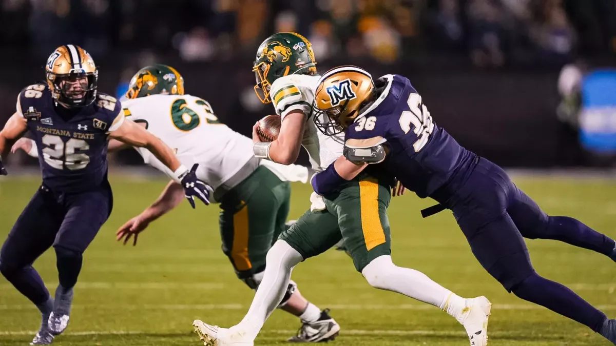 Northern Colorado Bears vs. Montana State Bobcats, 31 October | Event in Greeley | AllEvents