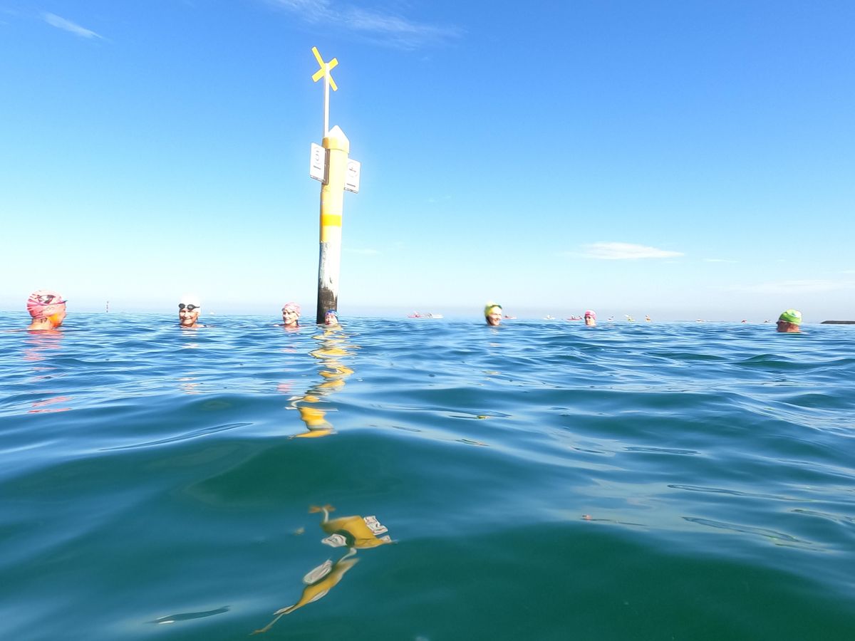 Winter Cold Water Swimming Education Session, Sandringham Lifesaving Club, 16 July 2023