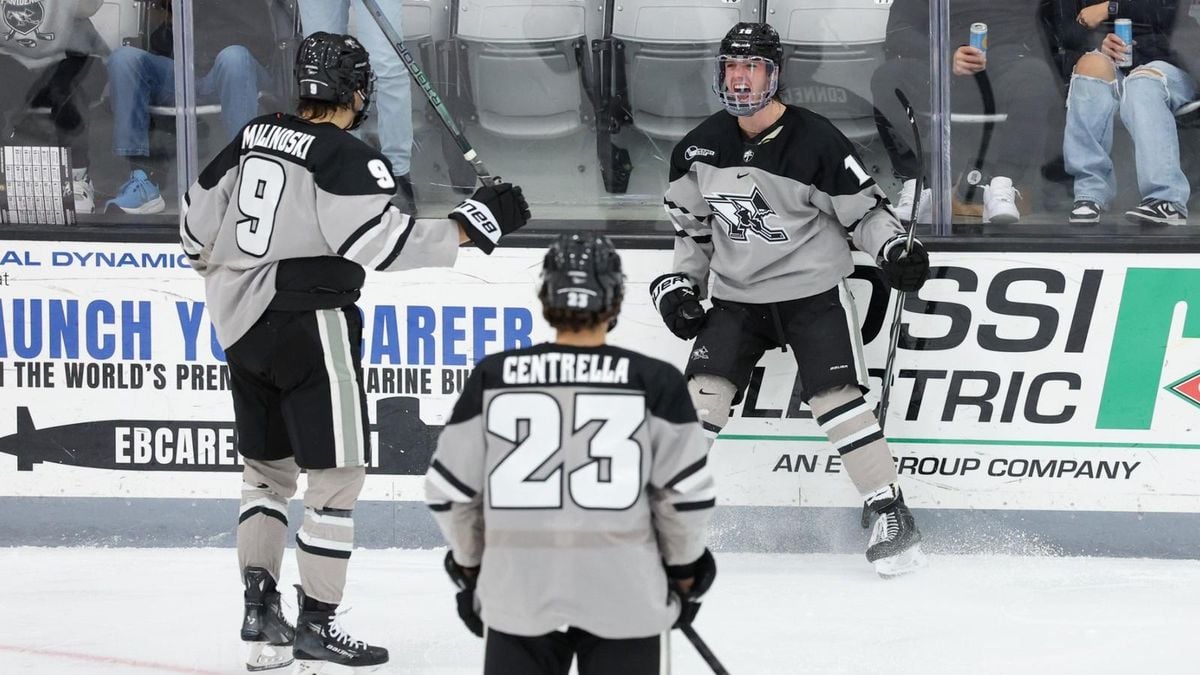 Providence Friars at Colorado College Tigers Mens Hockey, 29 November | Event in Colorado Springs | AllEvents