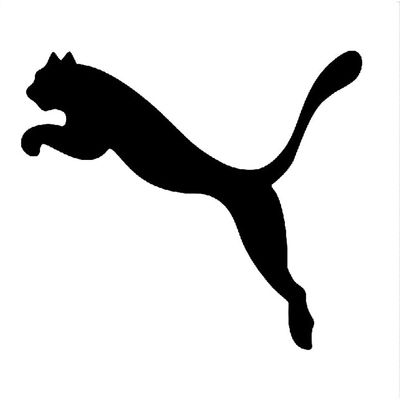 PUMA NITRO™ Runs - Bangalore logo