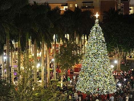 Coral Gables Christmas Tree Lighting 2022 Tree Lighting Ceremony, 495 Bayfront Pl, Naples, December 12 2021 |  Allevents.in