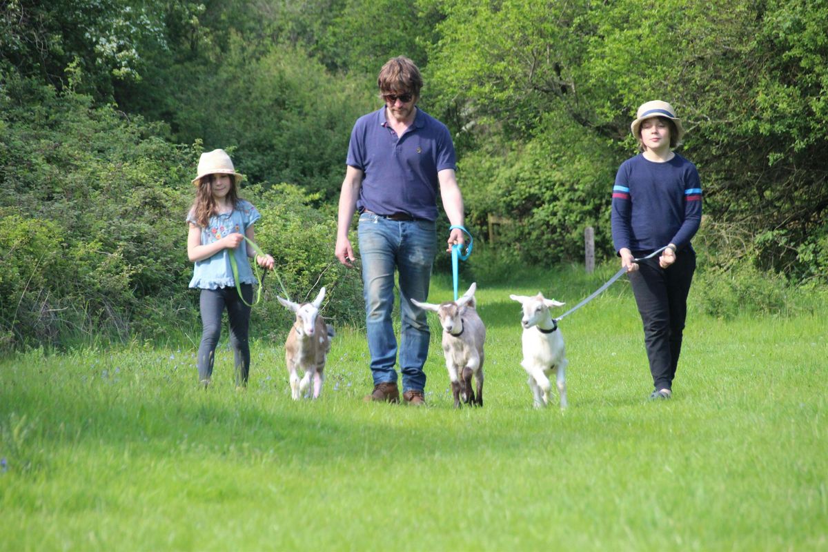 Goat Walking Experience | Event in Hasketon | AllEvents
