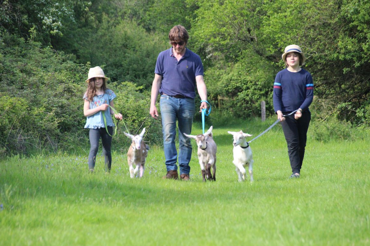 Goat Walking Experience, IP13 6JP, Hasketon, June 3 to September 23