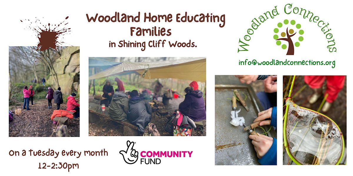 Woodland Home Educating Families at Shining Cliff Woods | Event in Ambergate | AllEvents