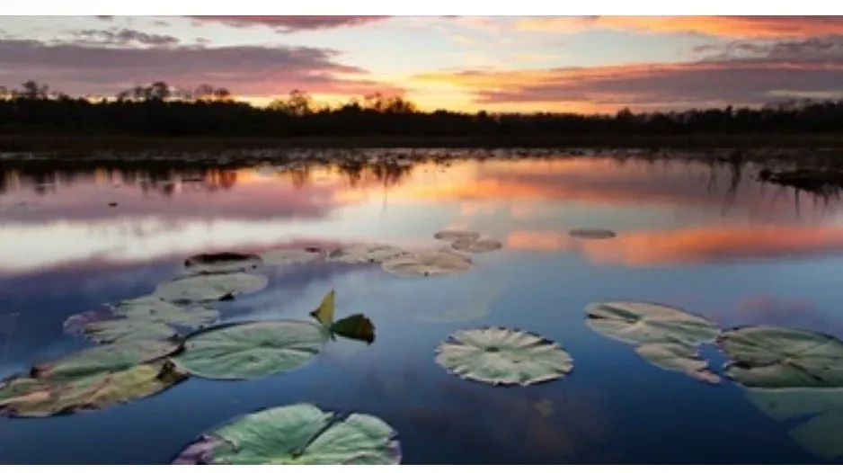 Full Moon Paddle at Grassy Waters, 3 December | Event in West Palm Beach | AllEvents