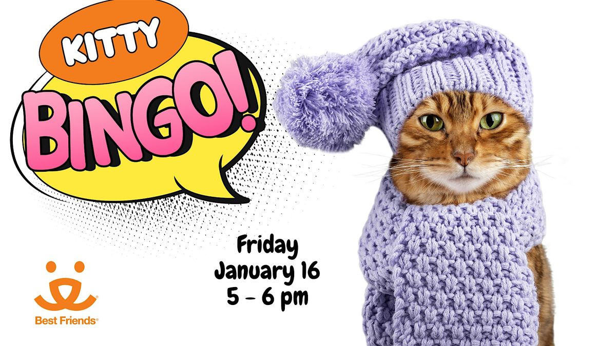 Kitty Bingo