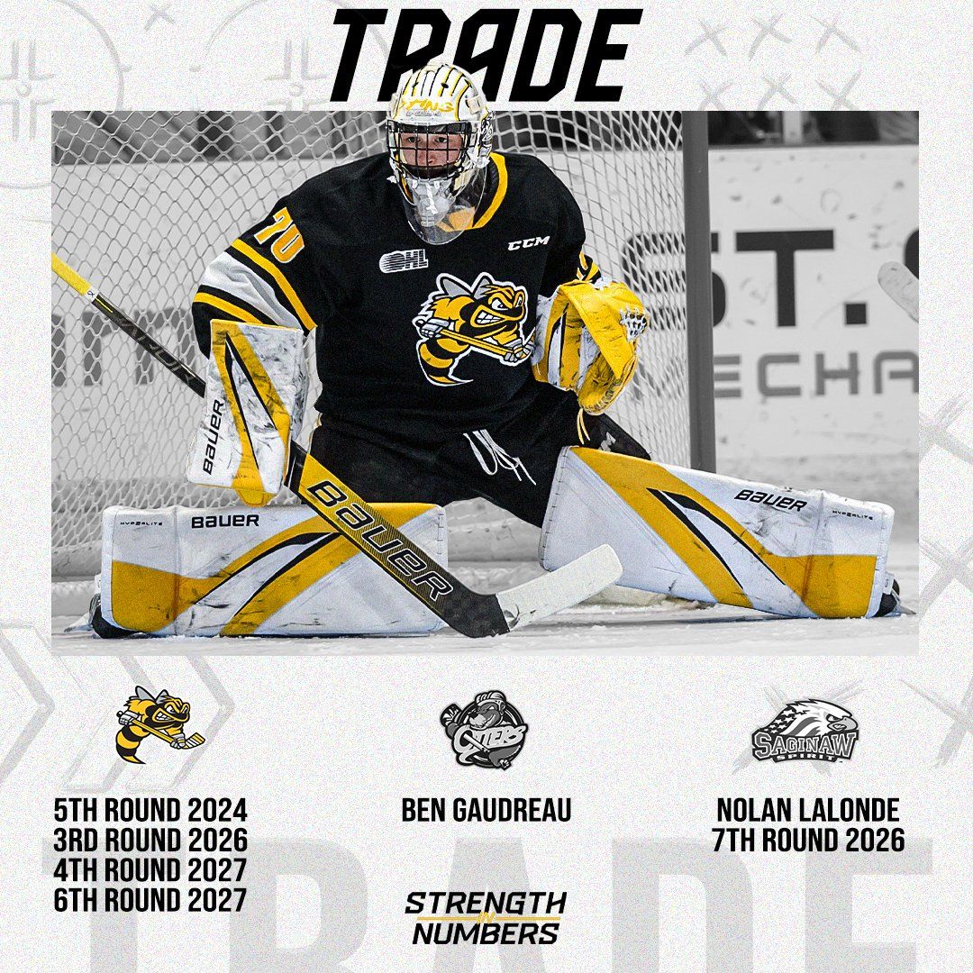 Sarnia Sting vs. Saginaw Spirit, 29 January | Event in Sarnia | AllEvents