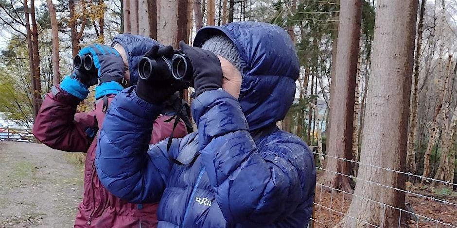 Beginners Guide to Garden Birds, 3 February | Event in Congleton | AllEvents