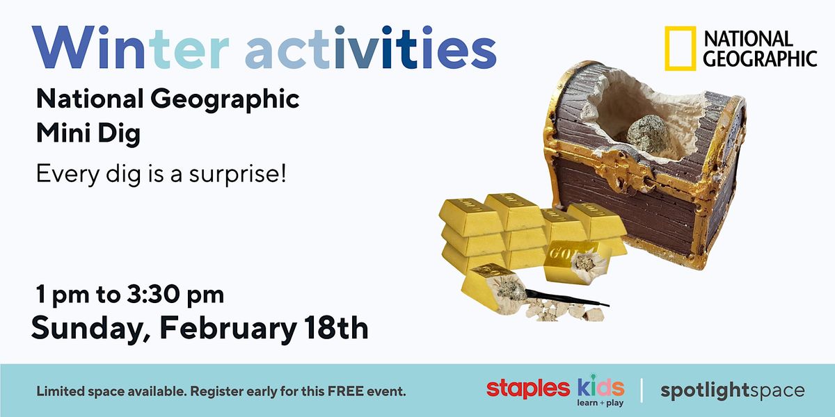 National Geographic Treasure Mini Dig Kit, Staples Sherwood Park 119 ...