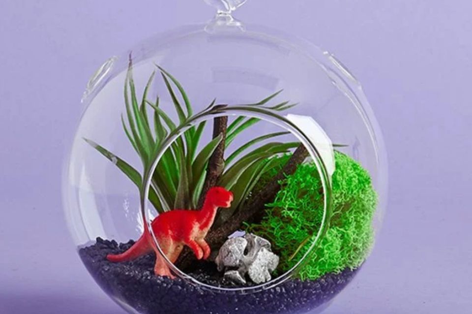 Tykes & Terrariums Plant Party, The Little Shop of Horticulture, Mount