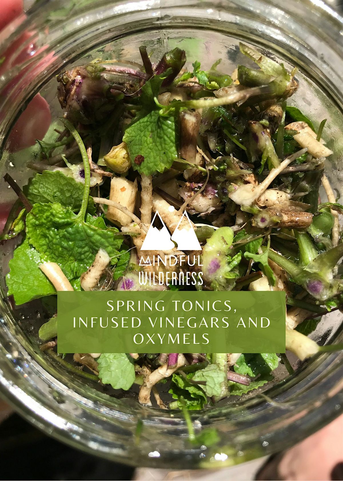 Spring Tonics, Infused Vinegars and Oxymels, Vulgaris Herbs, Chester ...