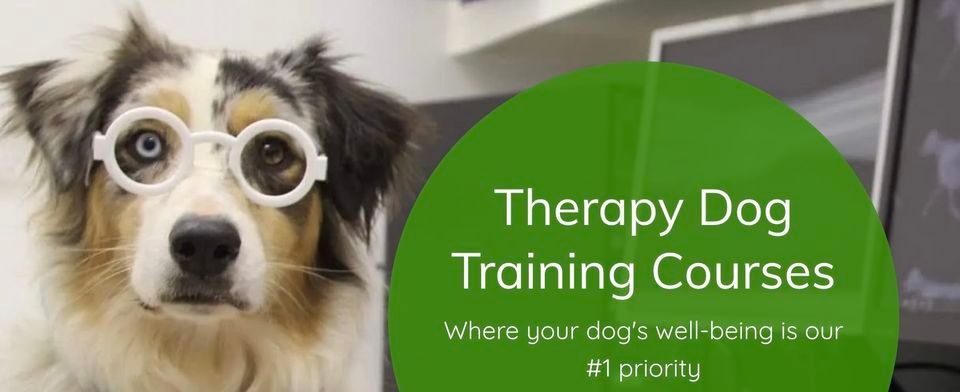 CANINE ASSISTED THERAPY COURSE - THERAPY DOGS NSW COMING TO HOBART., Hobart Tasmania, Australia, July 18 2023 CANINE ASSISTED THERAPY COURSE - THERAPY DOGS NSW COMING TO HOBART., Hobart Tasmania, Australia, July 18 2023