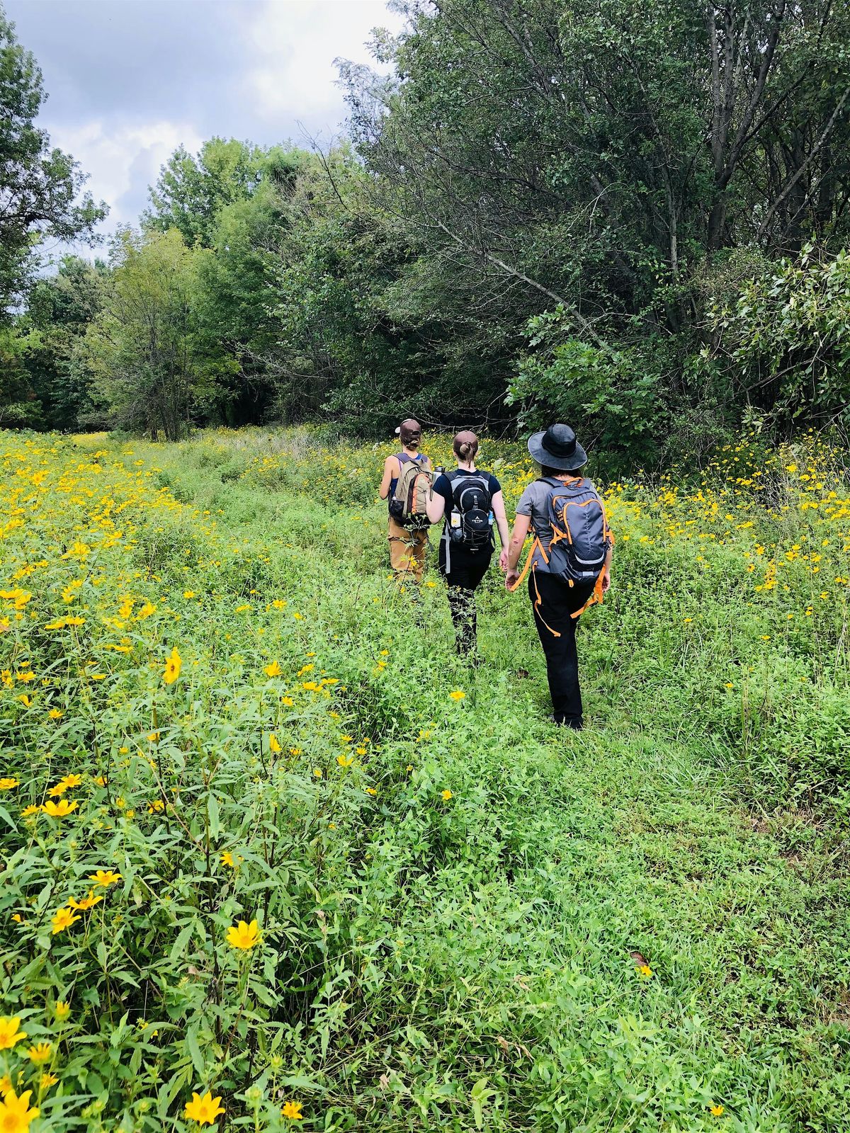 Girl Scout Volunteer Day at Wilson Springs Preserve, 19 January | Event in Fayetteville | AllEvents