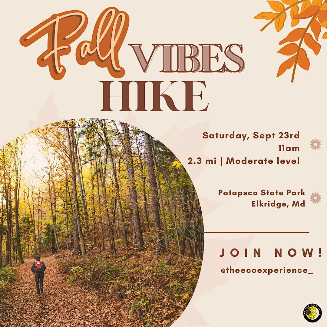Fall Vibes Hike, Patapsco Valley State Park- Cascade Falls, Elkridge ...