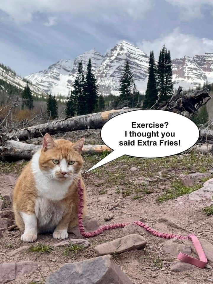 Fossil Brewery to Tasty Freeze Ride, Fossil Craft Beer Company