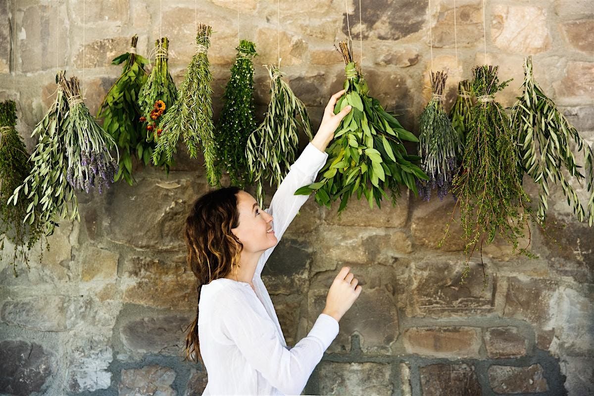Harvesting & Drying Herbs Workshop, 5 October | Event in Matthews | AllEvents