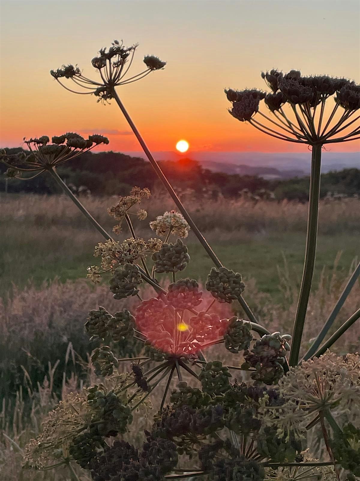 South West Independent Occupational Therapists' Support and Networking Day, 15 January | Event in Exeter | AllEvents