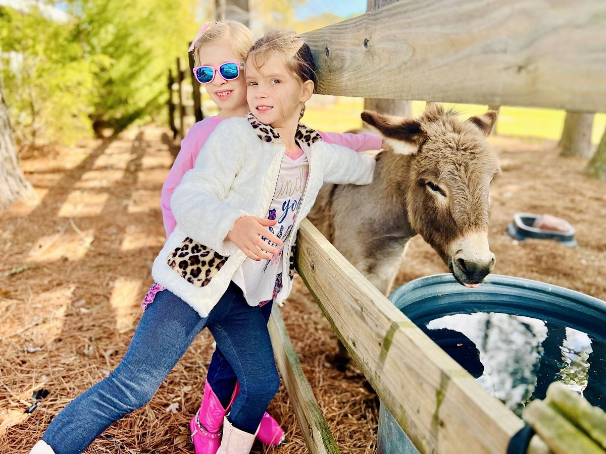 Open Play at Marie Farms, Marie Farms, Clayton, 20 March to 17 May