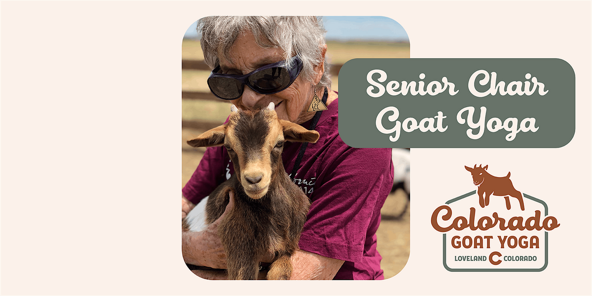 Senior Chair Goat Yoga, Barnyard Buddies, LLC., Loveland, 17 June 2023 AllEvents.in
