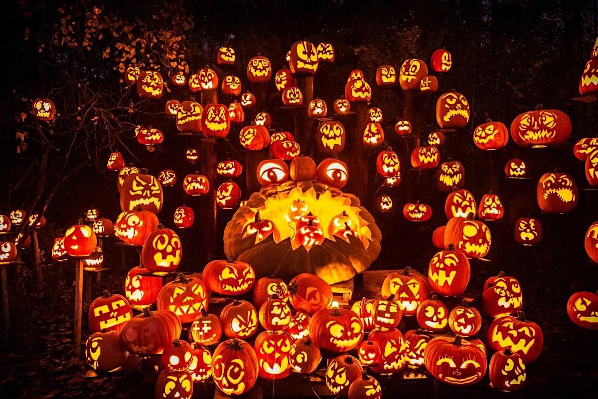 NTT DATA Boo at the Zoo, Nashville Zoo at Grassmere, October 20 2025