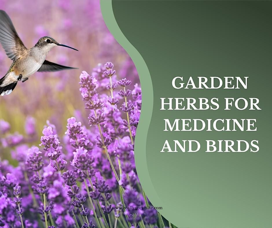 Garden Herbs for Medicine and Birds, Wild Birds Unlimited, Glen Mills