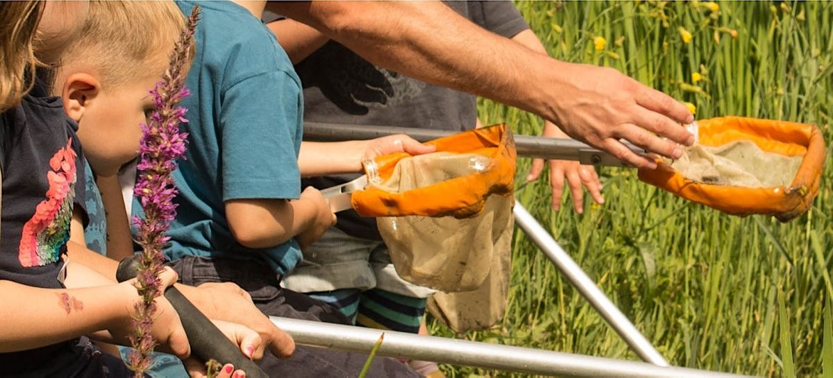 Chigwell Meadows Pond Dipping and Easter Trail (3+ years), Roding ...