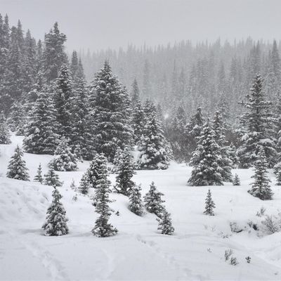 Exploring Winter Photography At The Leighton Art Centre With Barry
