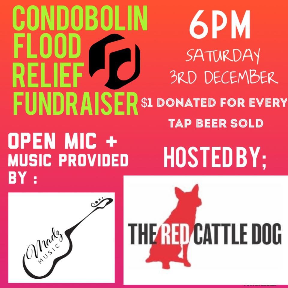 Condobolin Flood Relief Fundraiser, The Red Cattle Dog, Young, December