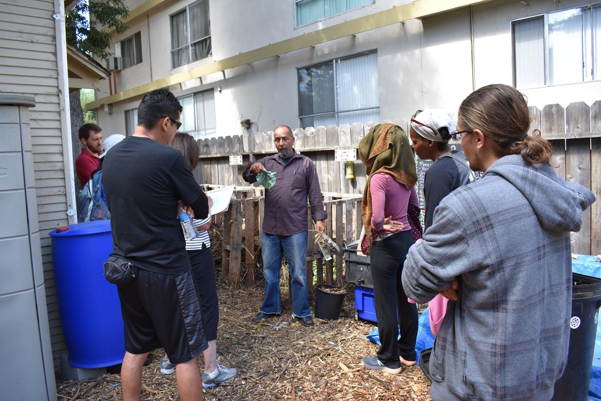 Backyard Composting // Compostaje en el Patio Trasero, Collective Roots ... - Patio Business Investment Opportunities With Composting Services