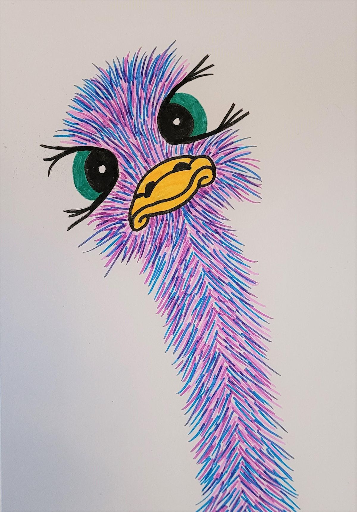 Draw a cartoon emu! A really fun for all the family, November