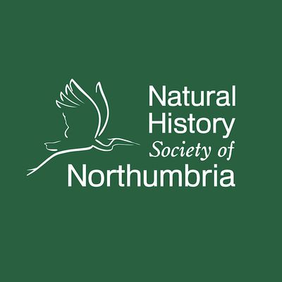NHSN Events
