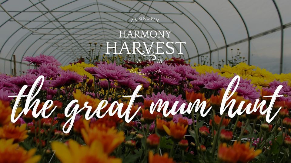 The Great Mum Hunt, Harmony Harvest Farm, Weyers Cave, 1 April 2023