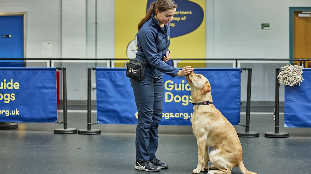 Guide Doig Guide Dogs - Classic Experience - Redbridge (2026), Guide Dogs Regional ...