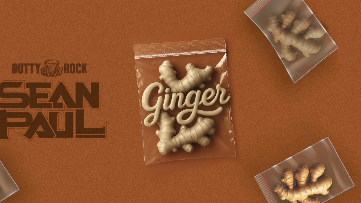 Sean Paul in Köln, 19 February | Event in Cologne | AllEvents