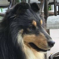 User profile photo