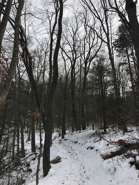 First Day Hike On The Lower Profile Trail Afternoon At Profile
