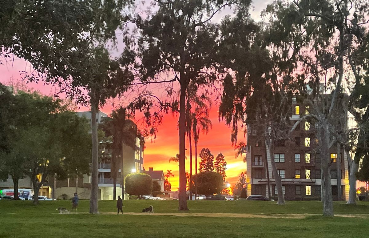 Parking Blood Orange, 6 March | Event in Dallas | AllEvents