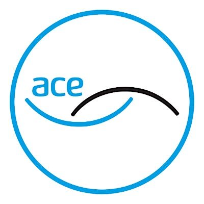 Association for Consultancy and Engineering (ACE) logo
