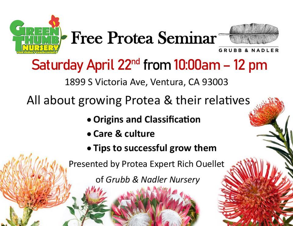 FREE Gardening Class Growing Protea & Their Relatives Green Thumb