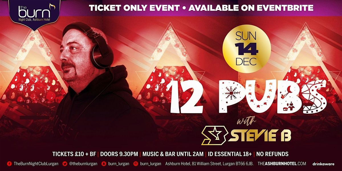 12 Pubs 2025 At The Burn Nightclub!, 14 December | Event in Lurgan | AllEvents