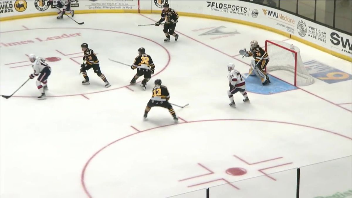 Kalamazoo Wings vs. Wheeling Nailers, Wings Event Center, Kalamazoo, 8