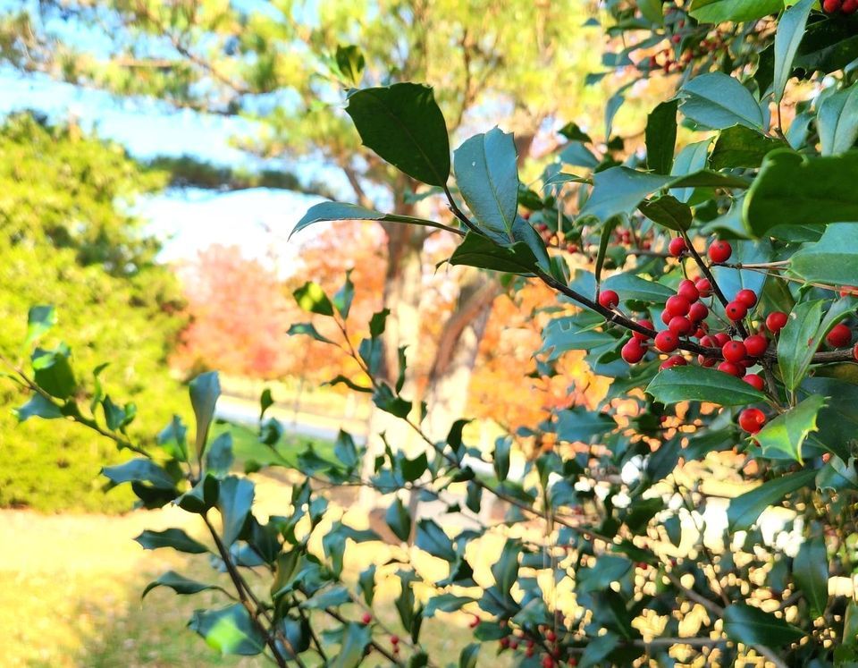 Winter Hike at Blackbird Creek Reserve, 801 Blackbird Landing Rd