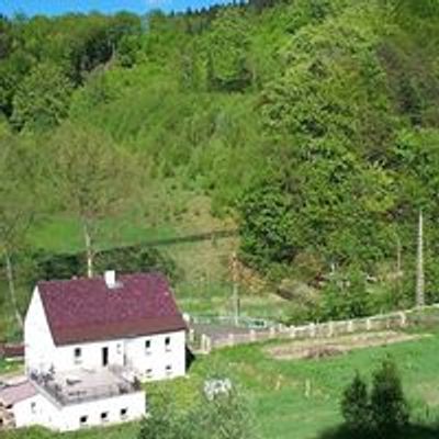 Biotanika- Strefa Wolna od Pośpiechu
