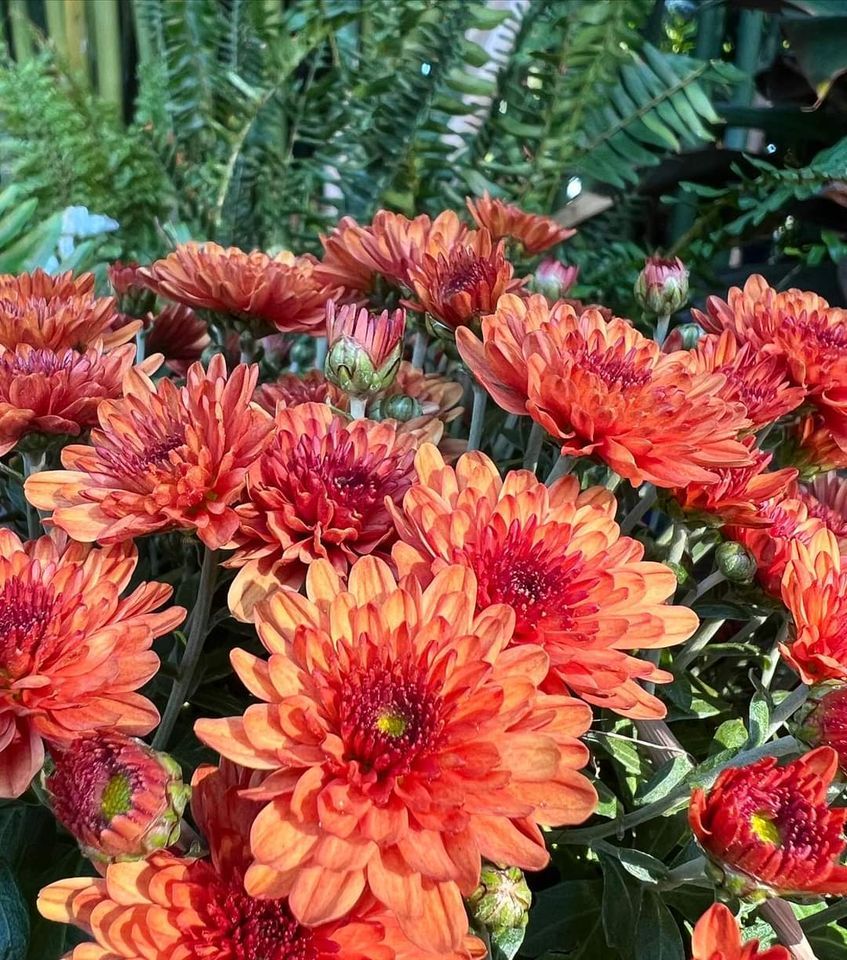 Garden Room Candle Pour Party, Earthscapes Garden Room, Palm Harbor