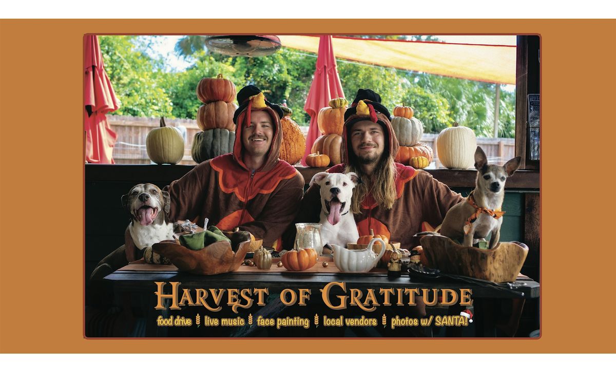 7th Annual Harvest of Gratitude Festival!, 22 November | Event in Neptune Beach | AllEvents